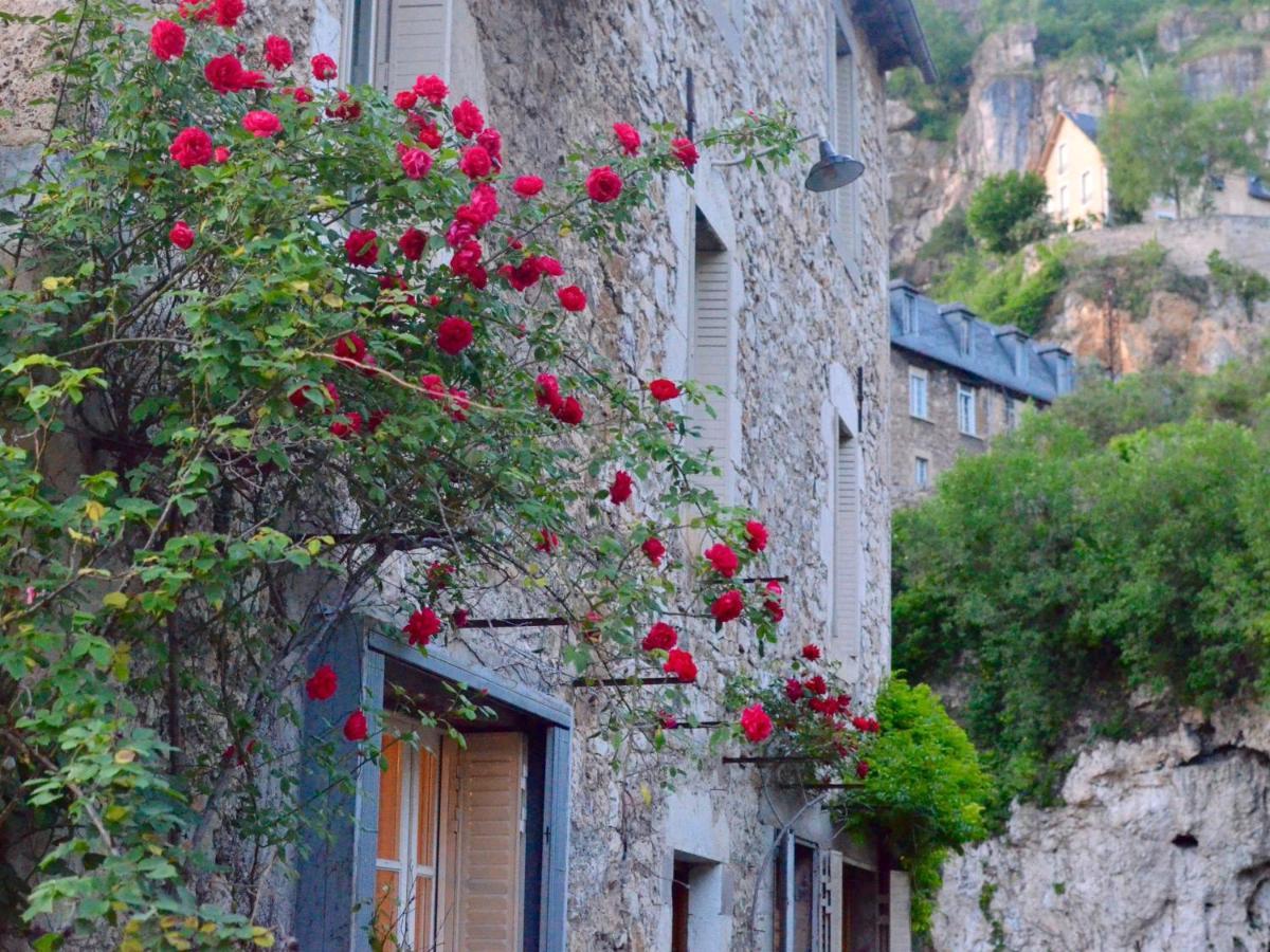 Chambres D'Hotes La Source Du Vallon Salles-la-Source Exteriér fotografie